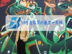 除夕是农历的最后一天吗