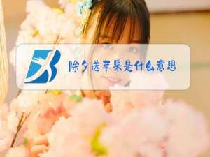 除夕送苹果是什么意思