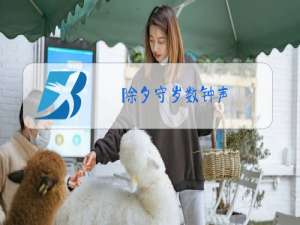 除夕守岁数钟声