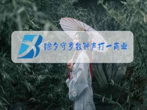 除夕守岁数钟声打一商业用词