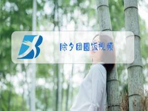 除夕团圆饭视频