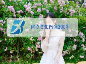 除夕文化内涵200字