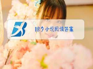 除夕小说阅读答案