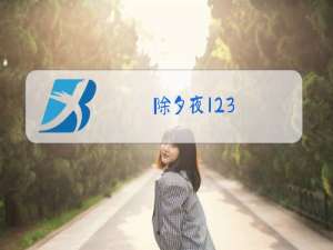 除夕夜123