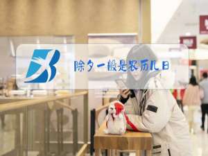 除夕一般是农历几日