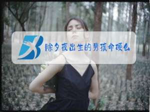 除夕夜出生的男孩命硬么