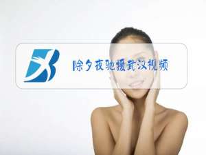 除夕夜驰援武汉视频