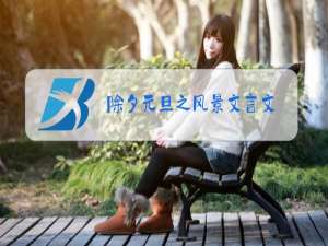 除夕元旦之风景文言文