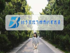 除夕夜放飞理想的有志青年什么意思