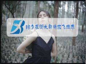 除夕夜街头即将放飞理想的有志青年什么意思