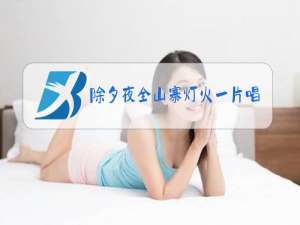 除夕夜全山寨灯火一片唱词原文