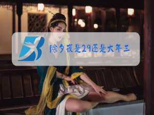 除夕夜是29还是大年三十