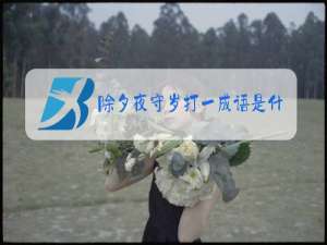 除夕夜守岁打一成语是什么成语