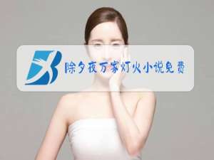 除夕夜万家灯火小说免费阅读