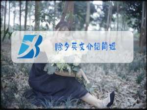 除夕英文介绍简短