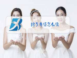 除夕粤语怎么读