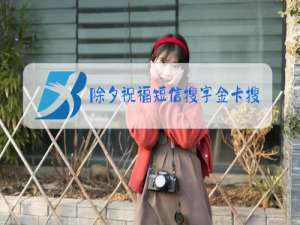 除夕祝福短信搜字金卡搜搜字