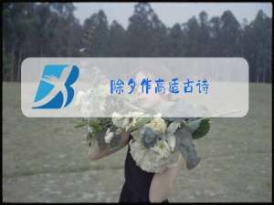 除夕作高适古诗