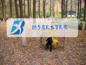 除夕在几九第几天