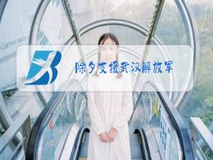 除夕支援武汉解放军