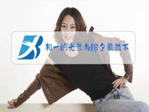 初一的光景与除夕截然不同中的光景是什么意思?