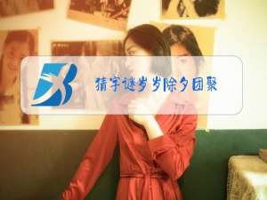 猜字谜岁岁除夕团聚