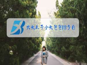 大头儿子小头爸爸除夕白夜城完整免费观看西瓜