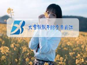 大雪飘飘年除夕李肖江