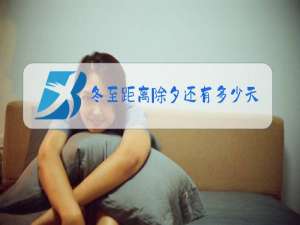 冬至距离除夕还有多少天