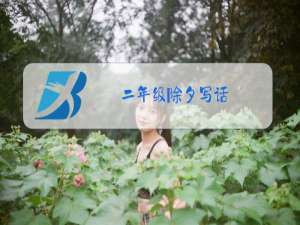 二年级除夕写话