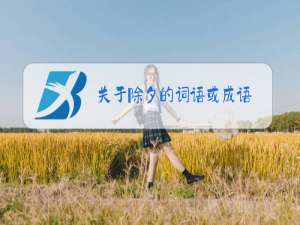 关于除夕的词语或成语