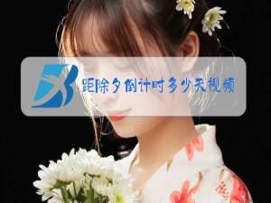 距除夕倒计时多少天视频