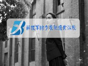 解放军除夕夜驰援武汉视频