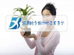 距离除夕倒计时还有多少天