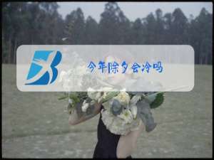 今年除夕会冷吗