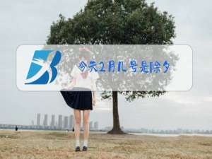 今天2月几号是除夕