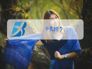 今天除夕,你确定要跟我离婚