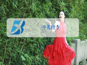 今天除夕,你确定要跟我离婚?机长和乘务长厉景深