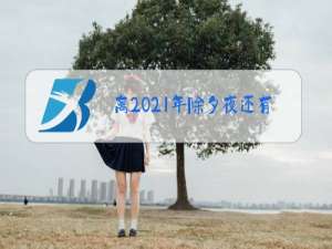 离2021年除夕夜还有多少天