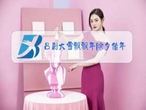 吕剧大雪飘飘年除夕借年王汉喜选段