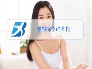 描写除夕的片段