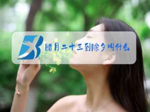 腊月二十三到除夕叫什么