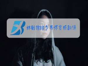 林则徐除夕书怀赏析翻译