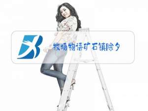 牧场物语矿石镇除夕