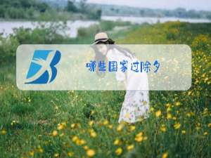 哪些国家过除夕