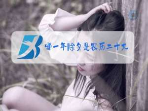 哪一年除夕是农历二十九