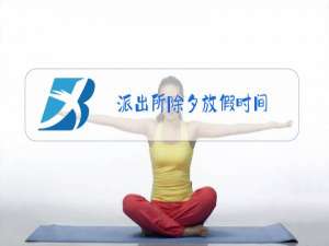 派出所除夕放假时间