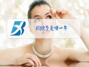 闰除夕是哪一年