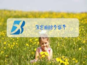 深宫曲除夕容予