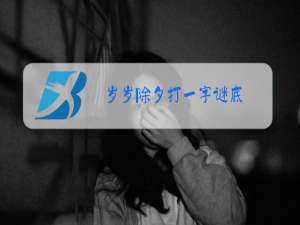 岁岁除夕打一字谜底